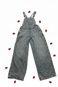 Celebrity Pink Denim Overalls