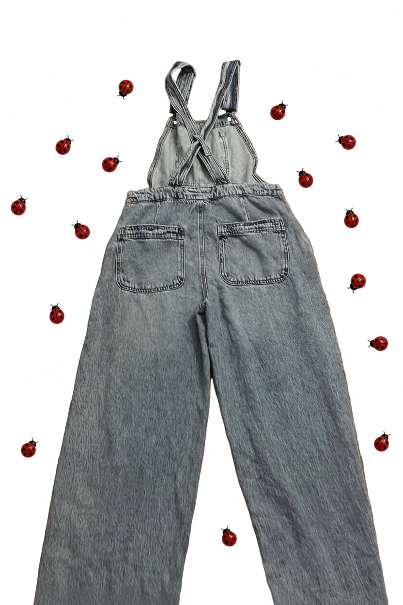 Celebrity Pink Denim Overalls